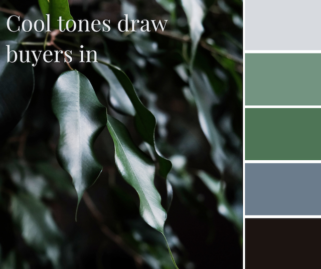 Hot Tip #3 - Cool color tones draw buyers in