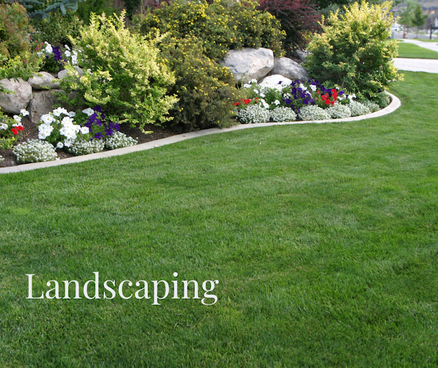 Tend to the Landscaping