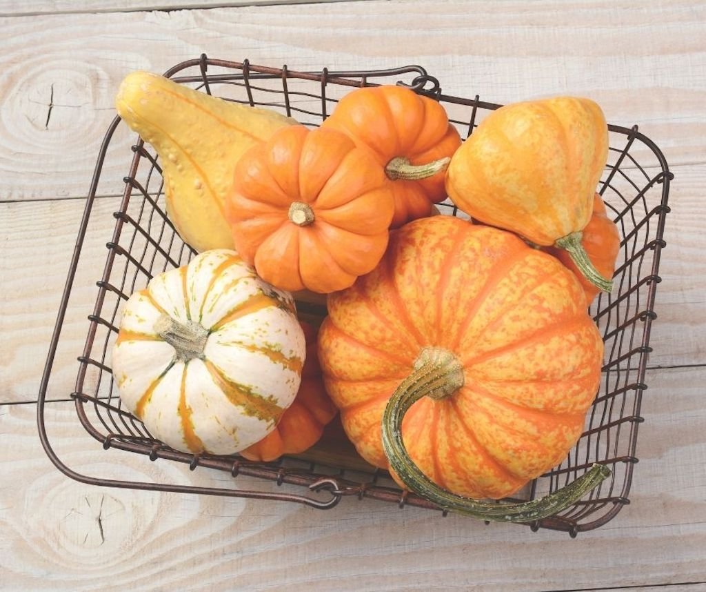 Pumpkins are an easy addition to your Fall Tablescape
